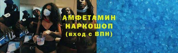 СК Алексин