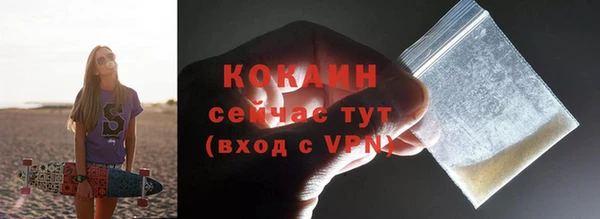 дживик Аркадак