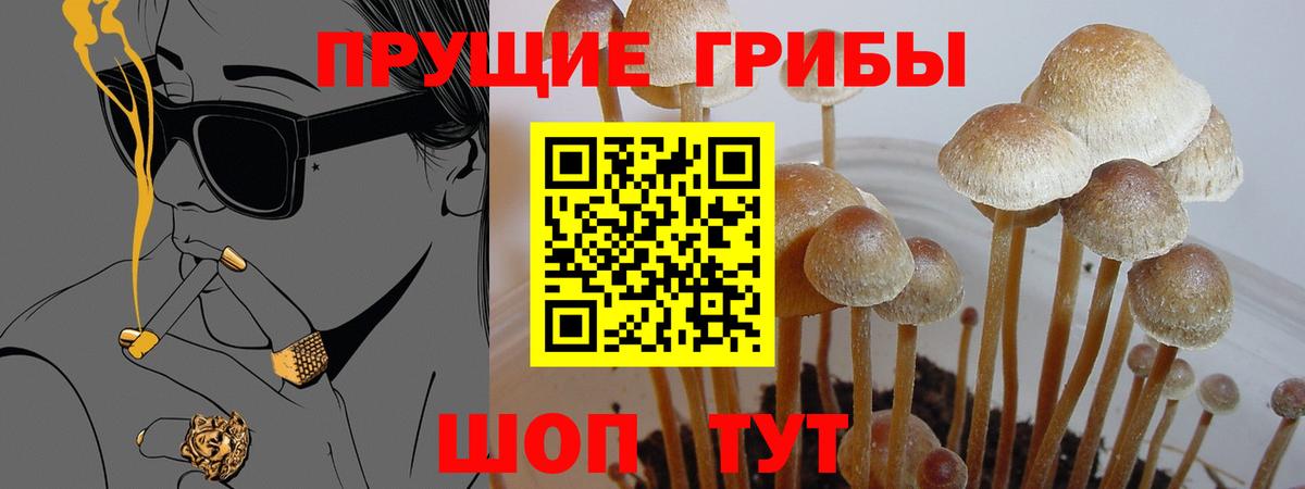 Нефтекумск  Псилоцибиновые грибы ЛСД  Вход с VPN 